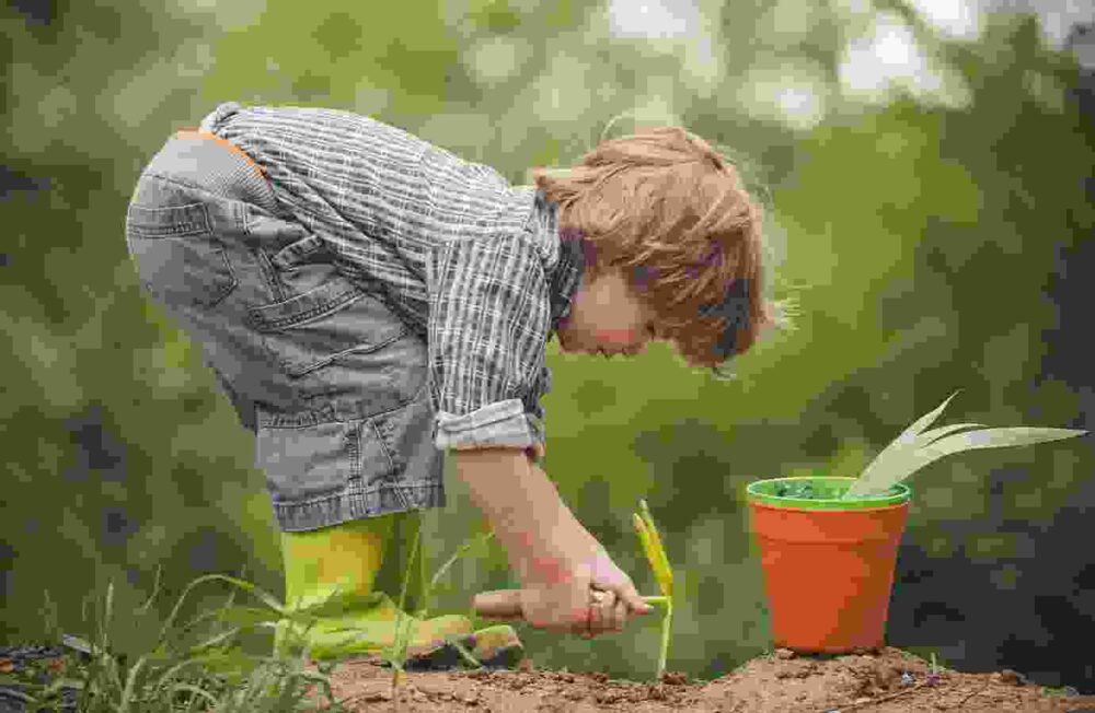Teaching The Next Generation About Agriculture - greenzonefarms.in